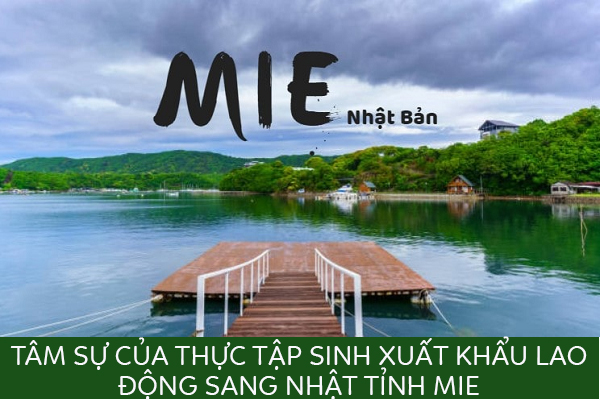 Tâm Sự Của Thực Tập Sinh Xuất Khẩu Lao Động Sang Nhật Tỉnh Mie