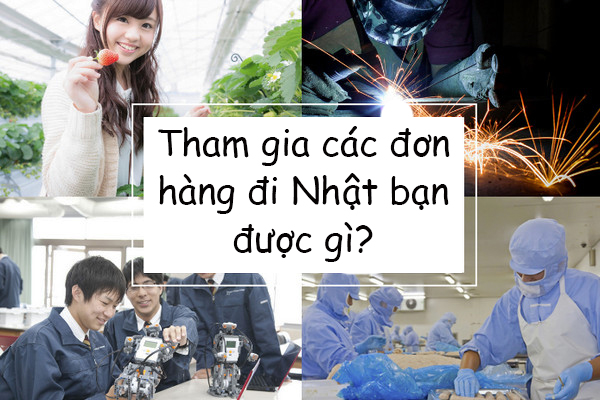 Tham Gia Các Đơn Hàng Đi Nhật Bạn Được Gì?