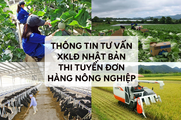 Thông Tin Tư Vấn XKLĐ Nhật Bản Thi Tuyển Đơn Hàng Nông Nghiệp