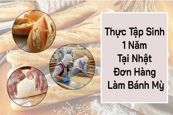 Thực Tập Sinh 1 Năm Tại Nhật Đơn Hàng Làm Bánh Mì