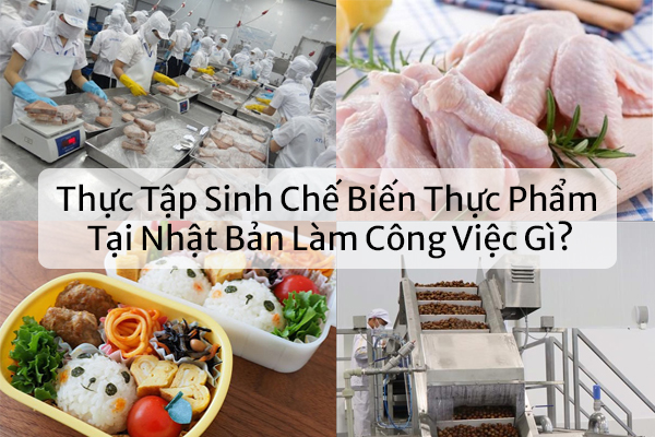 Thực Tập Sinh Chế Biến Thực Phẩm Tại Nhật Bản Làm Công Việc Gì?