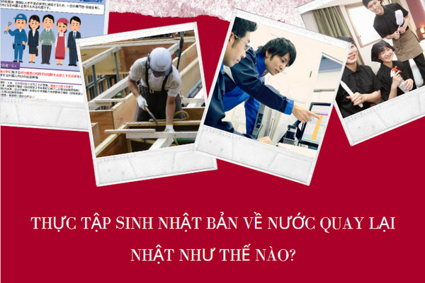 Thực Tập Sinh Nhật Bản Về Nước Quay Lại Nhật Như Thế Nào?