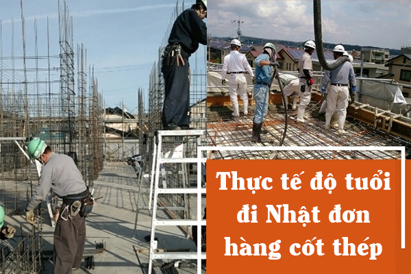 Thực Tế Độ Tuổi Đi Nhật Đơn Hàng Cốt Thép