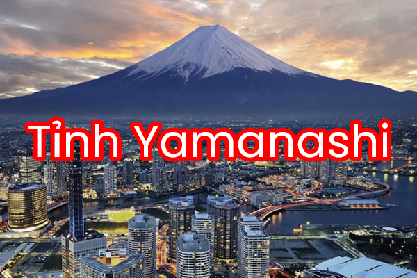 Tỉnh Yamanashi Vùng Đất Vàng Xuat Khau Lao Dong Sang Nhat