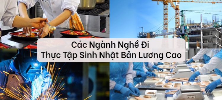 Các Ngành Nghề Đi Thực Tập Sinh Nhật Bản Lương Cao