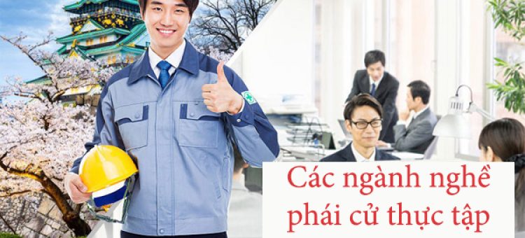 Các Ngành Nghề Phái Cử Thực Tập Sinh Nhật Bản