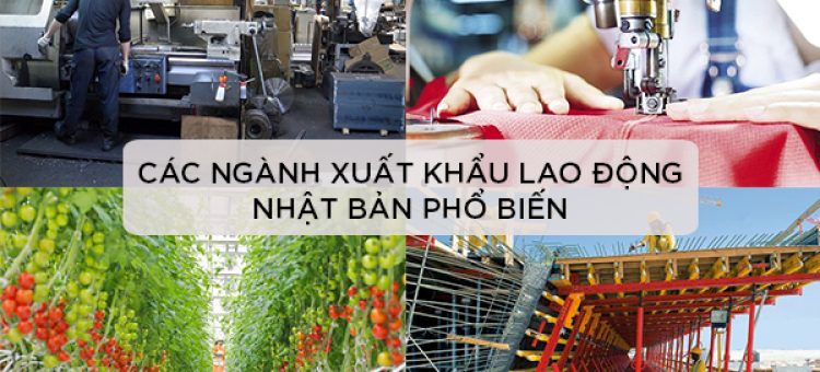 Các Ngành XKLĐ Nhật Bản Phổ Biến Hiện Nay