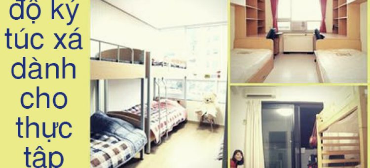Chế Độ Thực Tập Sinh Nhật Bản Về Ký Túc Xá