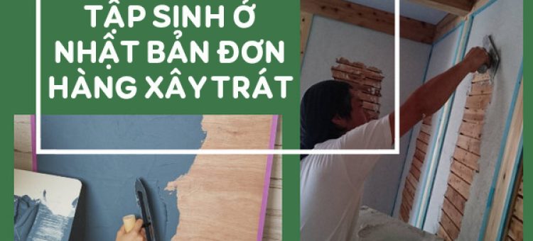 Có Nên Đi Thực Tập Sinh Ở Nhật Bản Đơn Hàng Xây Trát