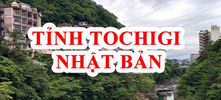 Có Nên Đi Xuất Khẩu Nhật Bản Tỉnh Tochigi?