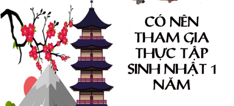 Có Nên Tham Gia Thực Tập Sinh Nhật 1 Năm?