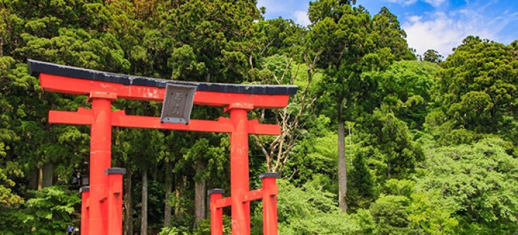 Cổng Trời Torii Trong Văn Hóa Của Người Nhật
