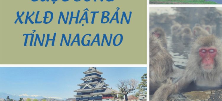 Cuộc Sống XKLĐ Nhật Bản Tỉnh Nagano