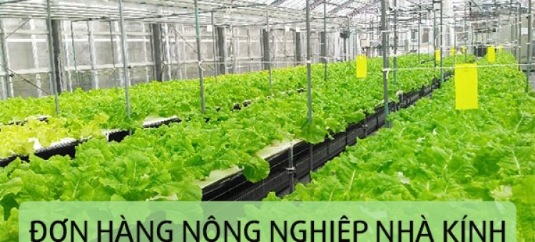 Đi Nhật Bản Làm Việc Đơn Hàng Nông Nghiệp Nhà Kính