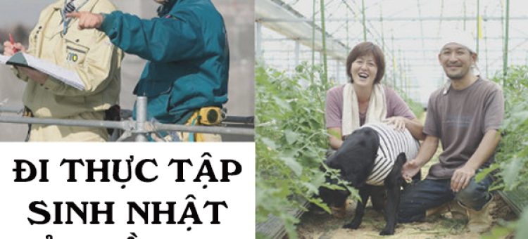 Đi Thực Tập Sinh Nhật Bản Lần Hai