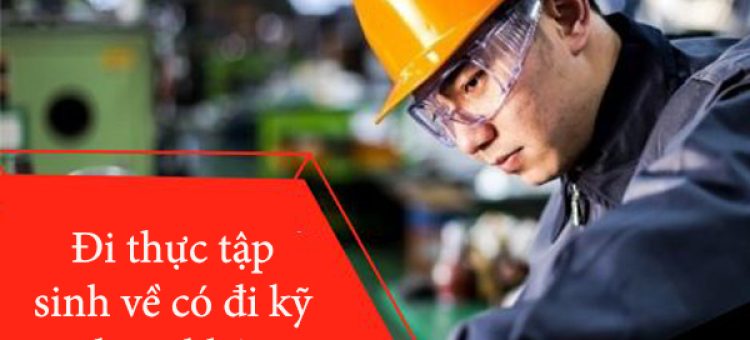 Đi Thực Tập Sinh Về Có Đi Kỹ Sư Được Không?