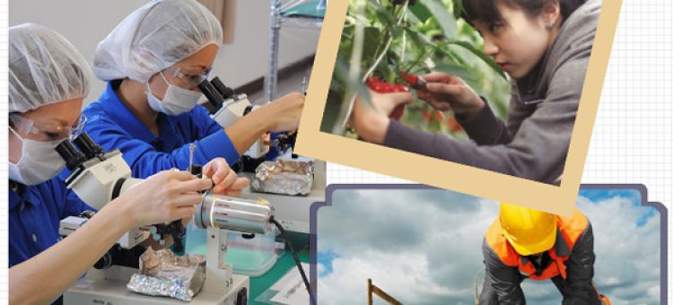 Đi Tu Nghiệp Sinh Lần 2 Tại Nhật Bản Là Gì?
