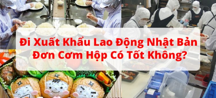 Đi Xuất Khẩu Lao Động Nhật Bản Đơn Cơm Hộp Có Tốt Không?