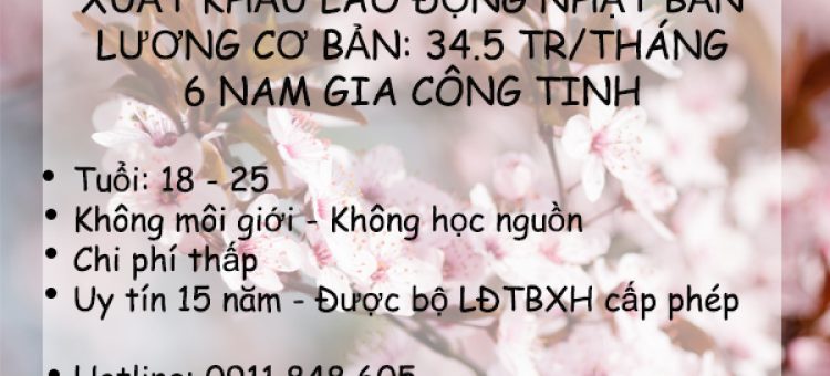 Đi Xuất Khẩu Nhật Bản Đơn Hàng Gia Công Tinh Phỏng Vấn 24/02