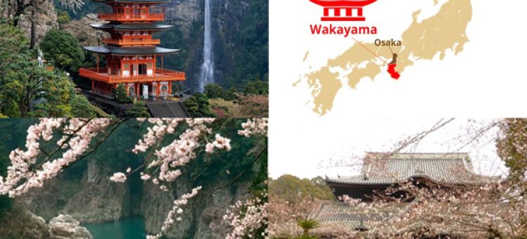 Điều Nên Làm Khi Đi Làm Việc Tại Nhật Bản Tỉnh Wakayama