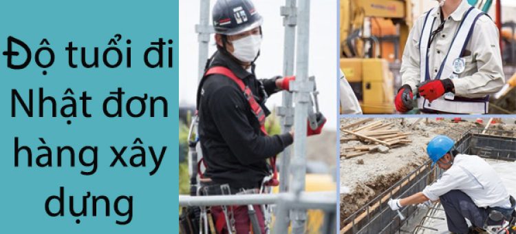 Độ Tuổi Đi Nhật Đơn Hàng Xây Dựng