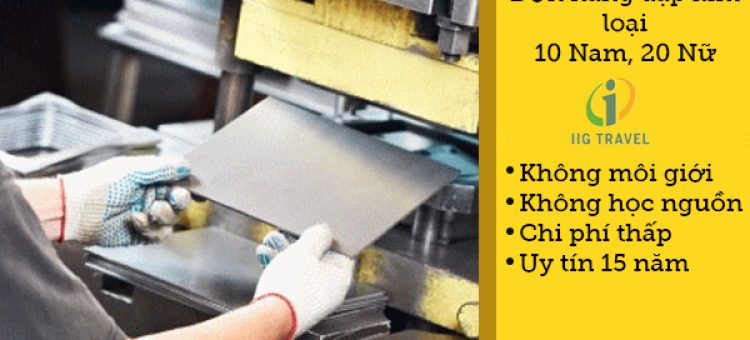 Đơn Hàng Công Xưởng Dập Kim Loại Phỏng Vấn 05/02