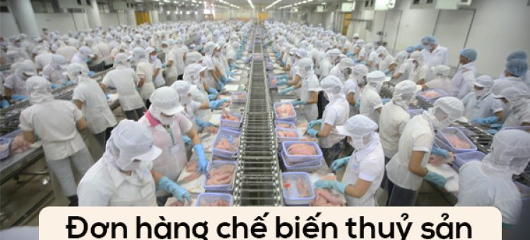Đơn Hàng Truyền Thống Chế Biến Thuỷ Sản Không Gia Nhiệt