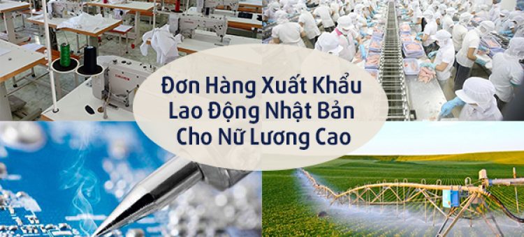 Đơn Hàng Xuất Khẩu Lao Động Nhật Bản Cho Nữ Lương Cao
