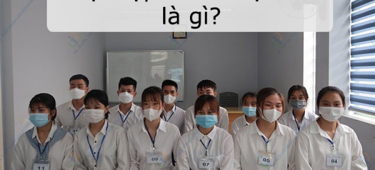Giải Đáp Thực Tập Sinh Nhật Bản Là Gì?