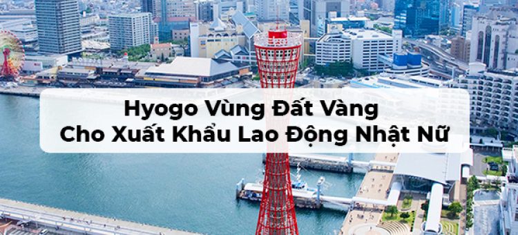 Hyogo Vùng Đất Vàng Cho Xuất Khẩu Lao Động Nhật Nữ
