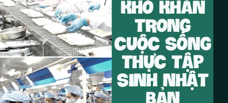 Khó Khăn Trong Cuộc Sống Thực Tập Sinh Nhật Bản