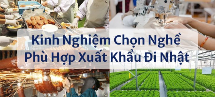 Kinh Nghiệm Chọn Nghề Phù Hợp Xuất Khẩu Đi Nhật