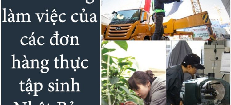 Môi Trường Làm Việc Của Đơn Hàng Thực Tập Sinh Nhật Bản