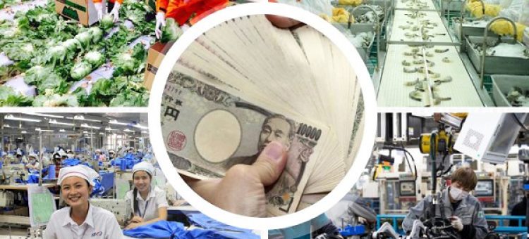 Mức Lương XKLĐ Nhật Cơ Bản Và Thực Lĩnh