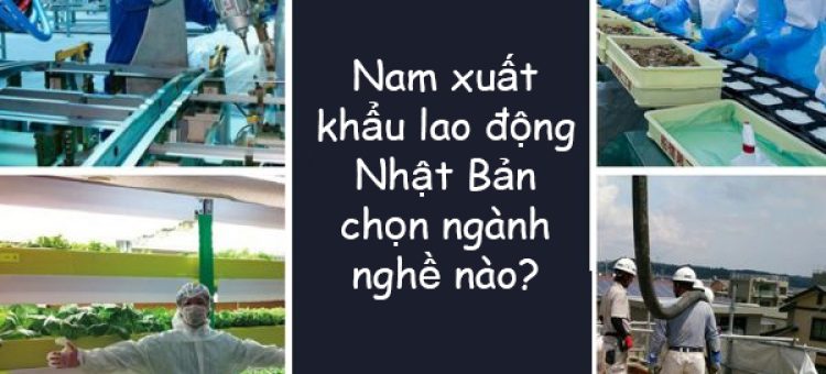 Nam Xuất Khẩu Lao Động Nhật Bản Chọn Ngành Nghề Nào?
