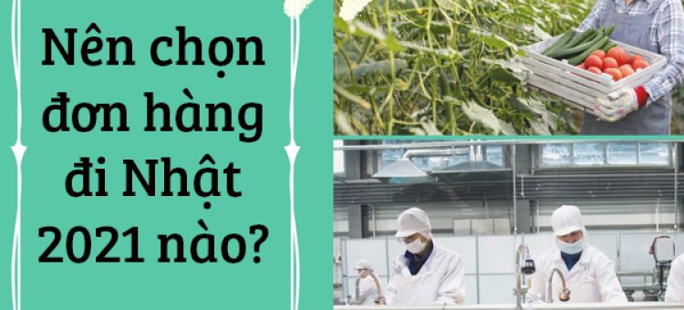 Nên Chọn Đơn Hàng Đi Nhật 2021 Nào?