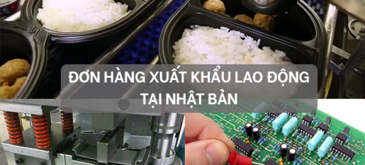 Nên Chọn Đơn Hàng Nào Khi Đi XKLĐ