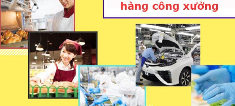 Nên Đi Nhật Bản XKLĐ Công Xưởng Hay Không?