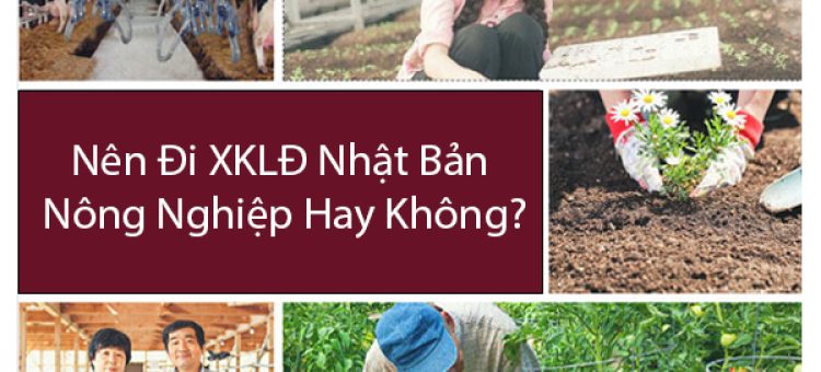 Nên Đi Xuất Khẩu Lao Động Nhật Bản Nông Nghiệp Hay Không?