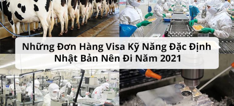 Những Đơn Hàng Visa Kỹ Năng Đặc Định Nhật Bản Nên Đi Năm 2021