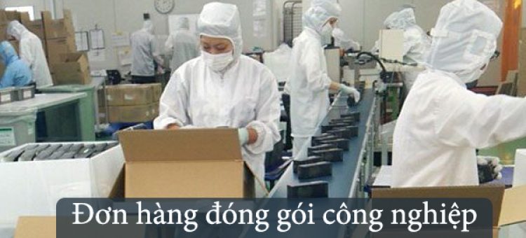 Phỏng Vấn XKLĐ Nhật Bản Đơn Hàng Đóng Gói Công Nghiệp