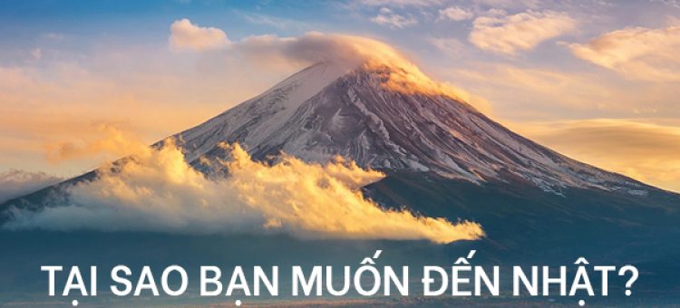 Tại Sao Bạn Muốn Đến Nhật Xuất Khẩu Lao Động?