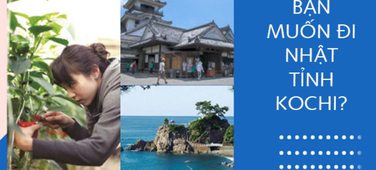 Tại Sao Bạn Muốn Đi Nhật Tỉnh Kochi?