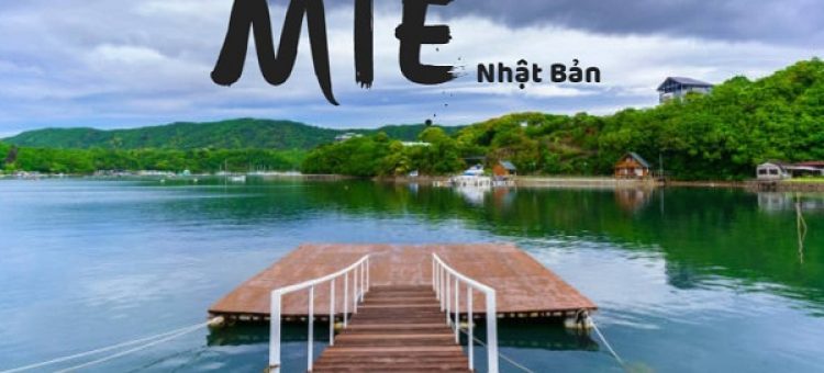 Tâm Sự Của Thực Tập Sinh Xuất Khẩu Lao Động Sang Nhật Tỉnh Mie