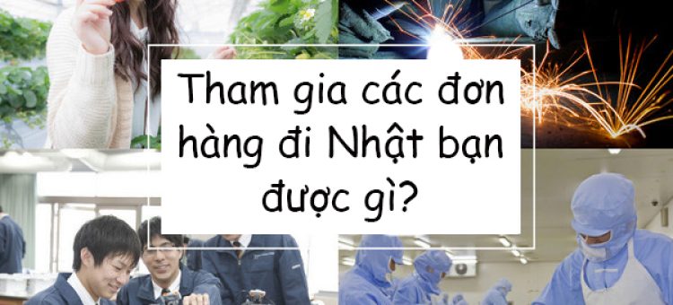 Tham Gia Các Đơn Hàng Đi Nhật Bạn Được Gì?