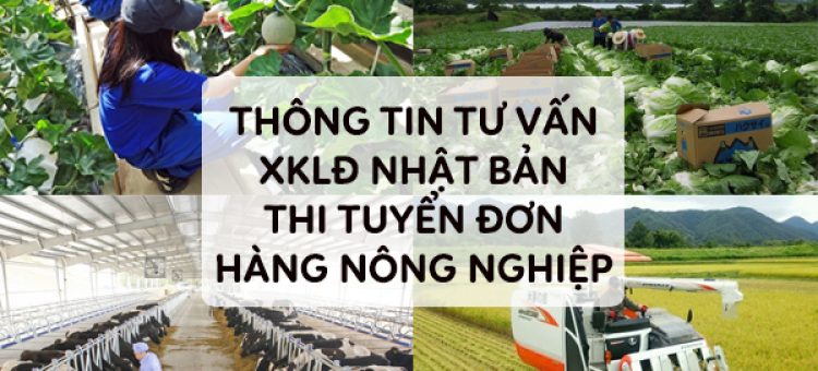 Thông Tin Tư Vấn XKLĐ Nhật Bản Thi Tuyển Đơn Hàng Nông Nghiệp