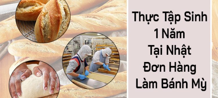 Thực Tập Sinh 1 Năm Tại Nhật Đơn Hàng Làm Bánh Mì