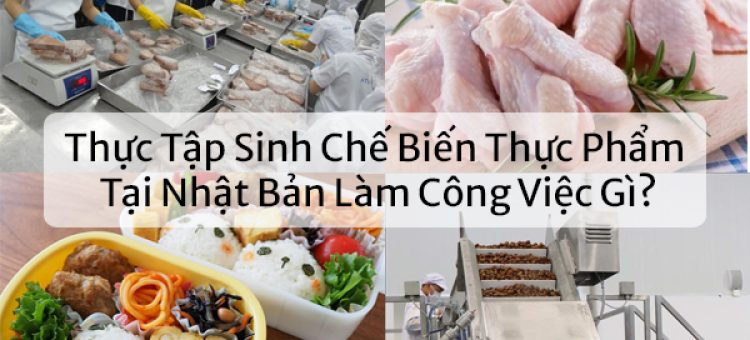 Thực Tập Sinh Chế Biến Thực Phẩm Tại Nhật Bản Làm Công Việc Gì?
