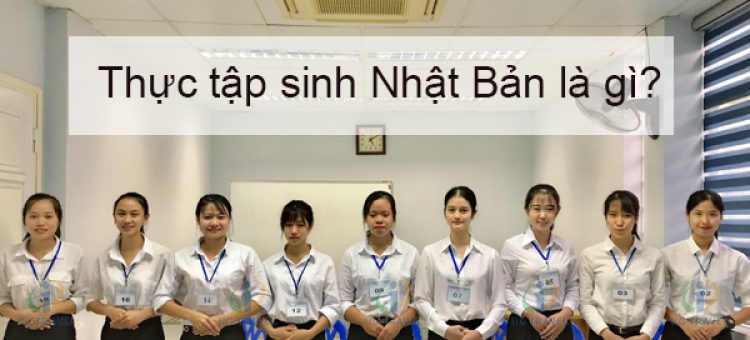Thực Tập Sinh Nhật Bản Là Gì?