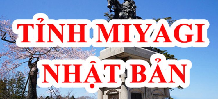 Thực Tập Sinh Việt Nam Tại Tỉnh Miyagi Nhật Bản